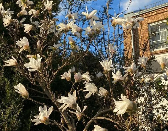 Maria Z Ogrodkiem I Parkingiem *