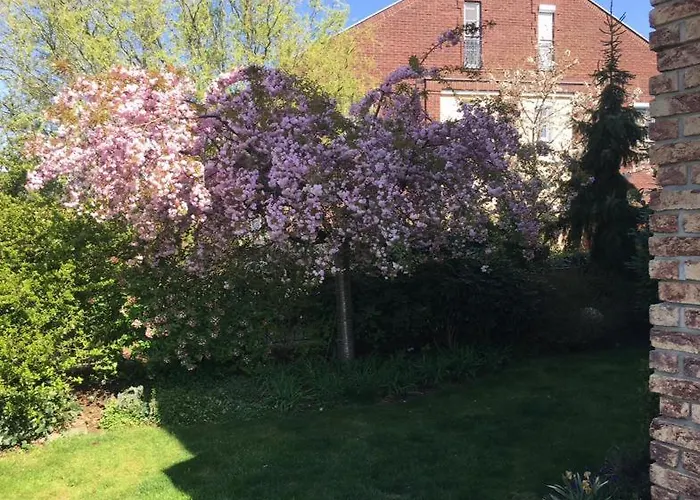 Maria Z Ogrodkiem I Parkingiem * 스렘