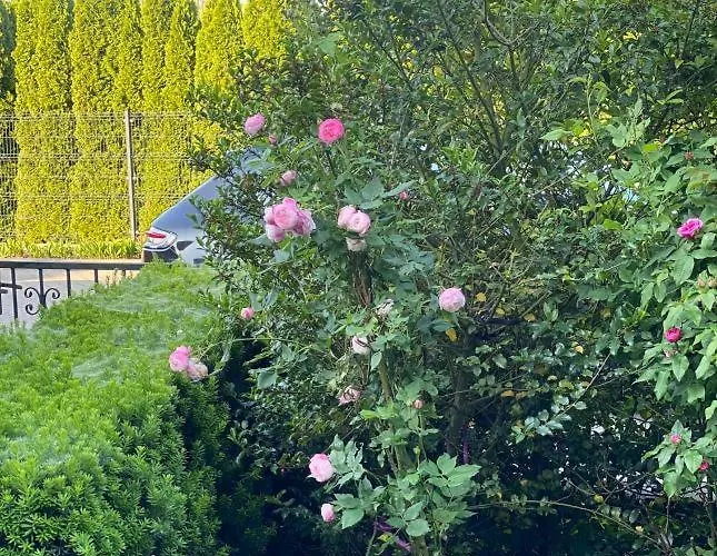 Maria Z Ogrodkiem I Parkingiem * 스렘